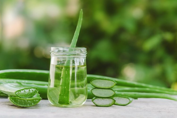So hilft der Aloe Vera First Spray einem Unabhängigen Distributor von Forever Living Products